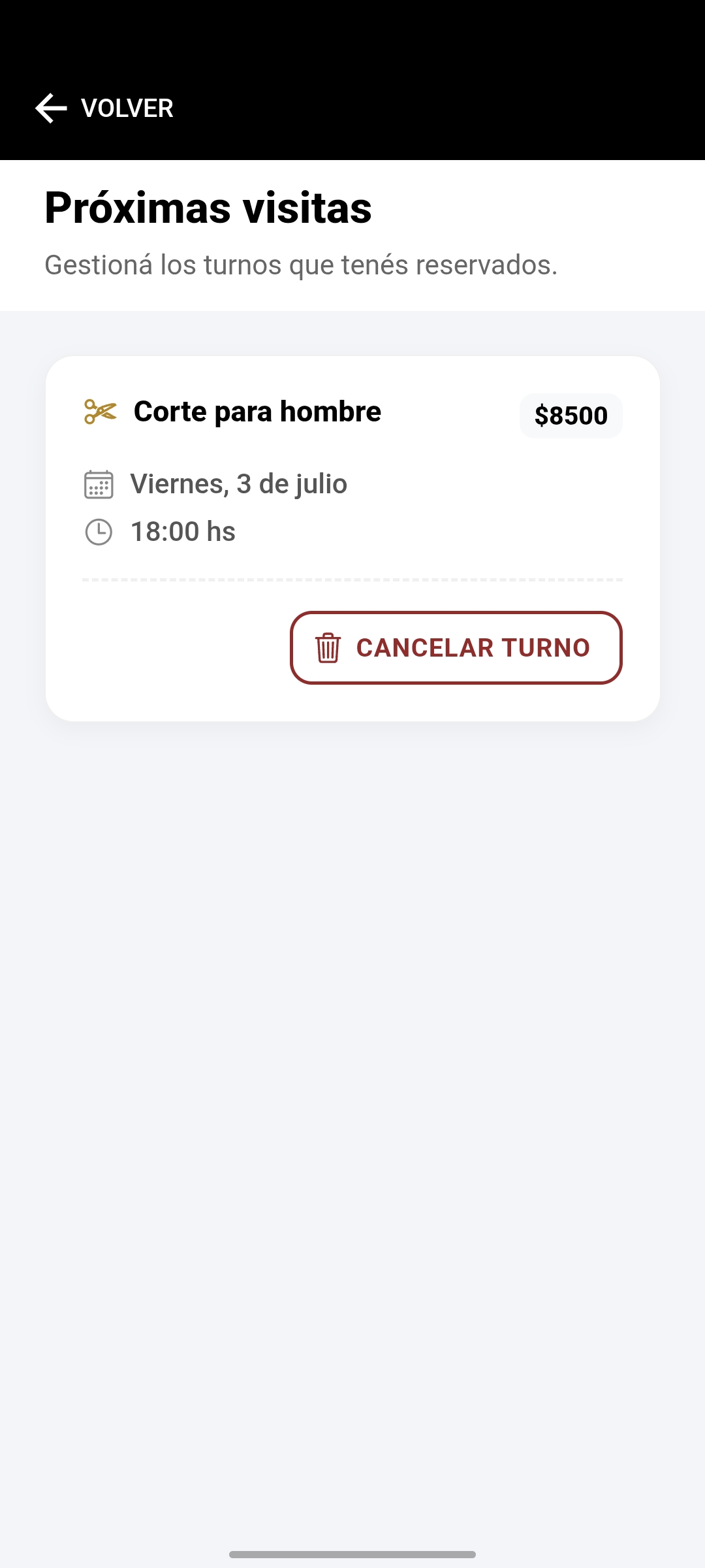 App Móvil para Peluquería
